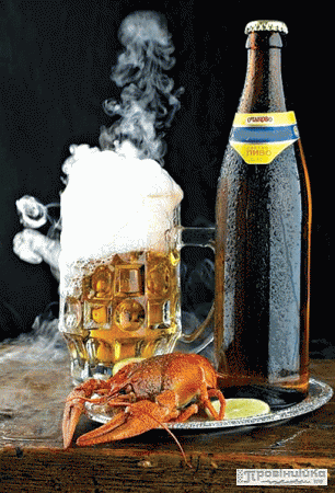 Пиво: рідкий хліб чи крок до алкоголізму?