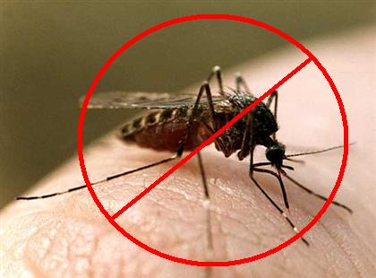 Комплексная защита от комаров