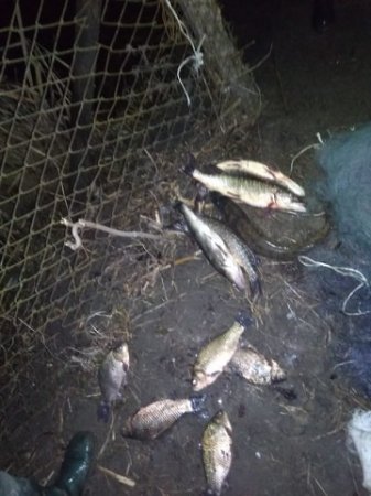 Протягом тижня порушники завдали майже 5 тис. грн збитків, - Рівненський рибоохоронний патруль