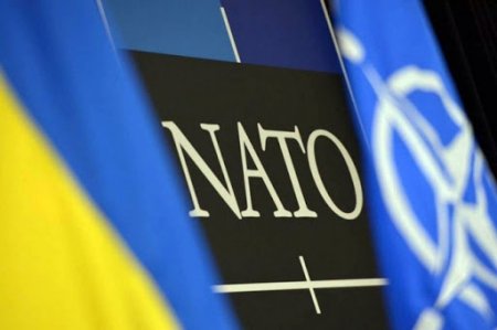 Саміт НАТО обговорить "дорожню карту" для членства України - Дуда