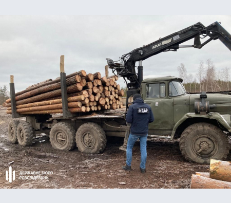 На Рівненщині перед судом постануть учасники ОЗГ, які здійснювали незаконну порубку лісу