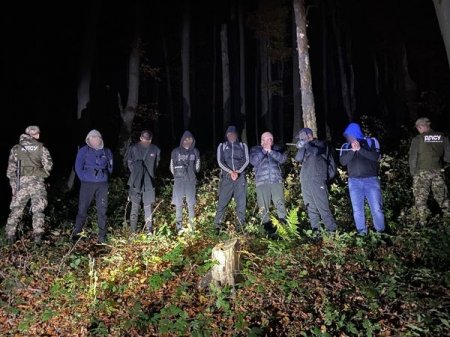 У лісі на Закарпатті затримали 7 чоловіків, які намагалися перетнути кордон
