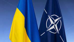 Україна вже перевершує критерії НАТО - євродепутат