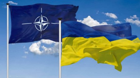 Глава Мюнхенської конференції: Україна має стати членом НАТО, щойно дозволять обставини