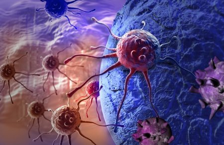 Перші висновки свідчать про "ефективність 99%": вчені представили новий спосіб знищення ракових клітин